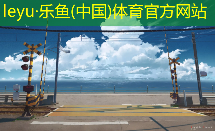 乐鱼体育,网球网柱需安装多少根