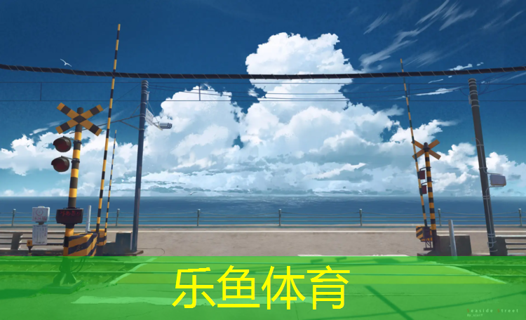 乐鱼体育,滕州东郭中学塑胶跑道