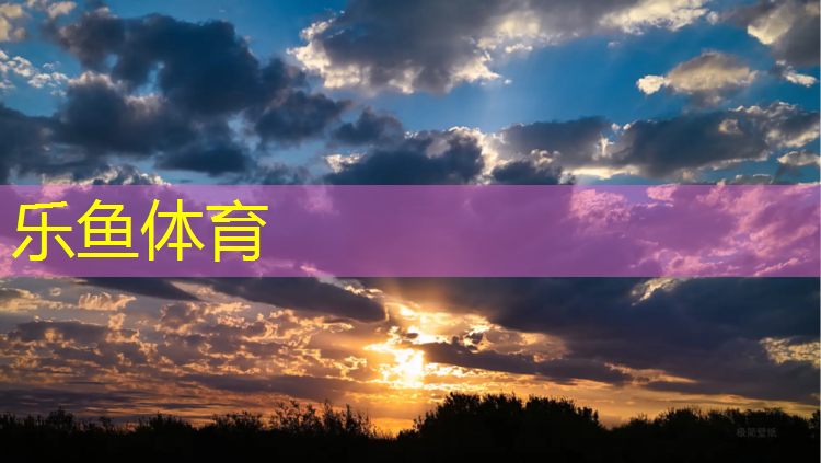 乐鱼体育,西安全塑型塑胶跑道施工