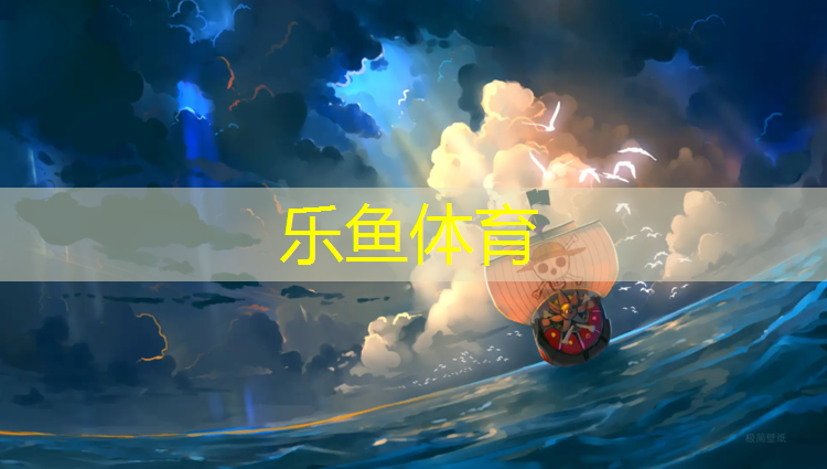 乐鱼体育,塑胶跑道按价格分类为
