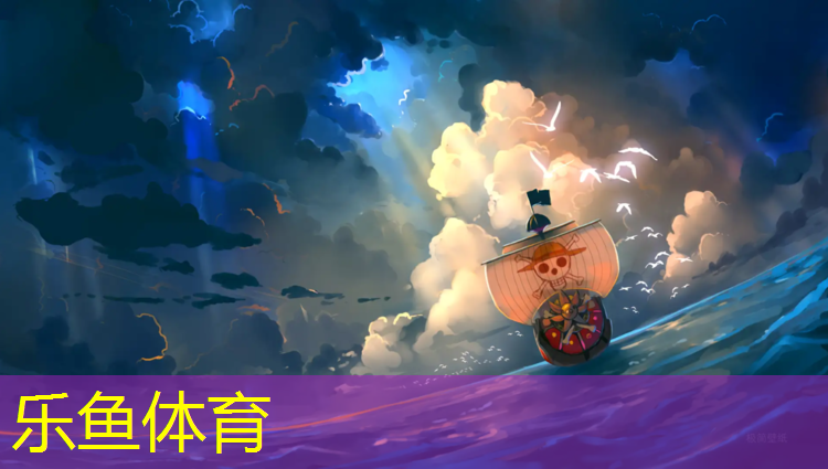 跆拳道护具正品鉴别