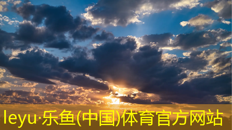 无锡枫木塑胶跑道安装